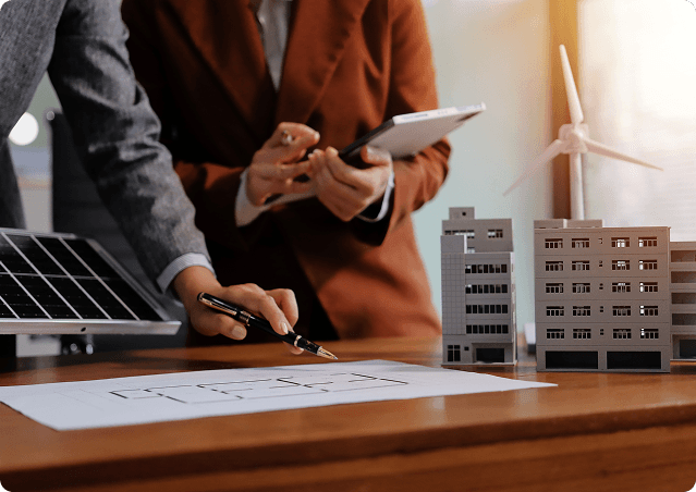 Government development planning